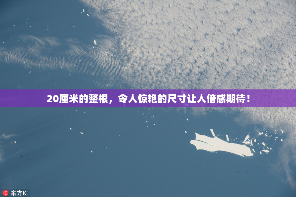 20厘米的整根，令人惊艳的尺寸让人倍感期待！