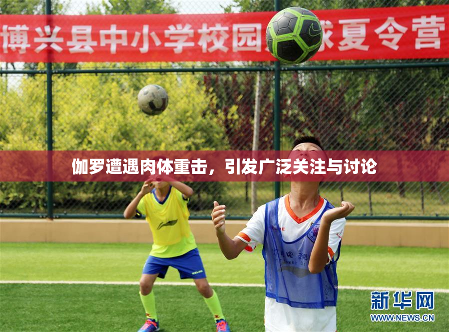 伽罗遭遇肉体重击，引发广泛关注与讨论