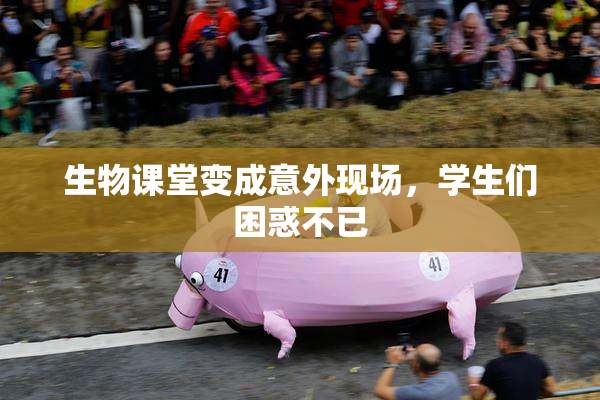 生物课堂变成意外现场，学生们困惑不已