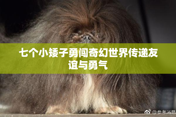 七个小矮子勇闯奇幻世界传递友谊与勇气