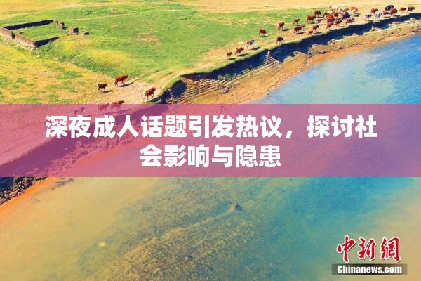 深夜成人话题引发热议，探讨社会影响与隐患
