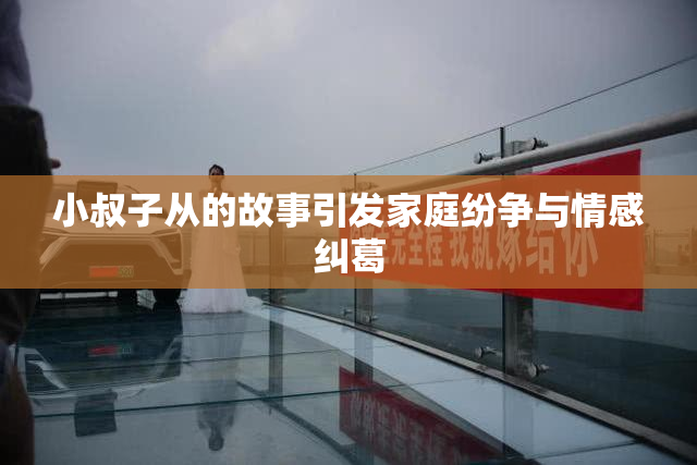 小叔子从的故事引发家庭纷争与情感纠葛