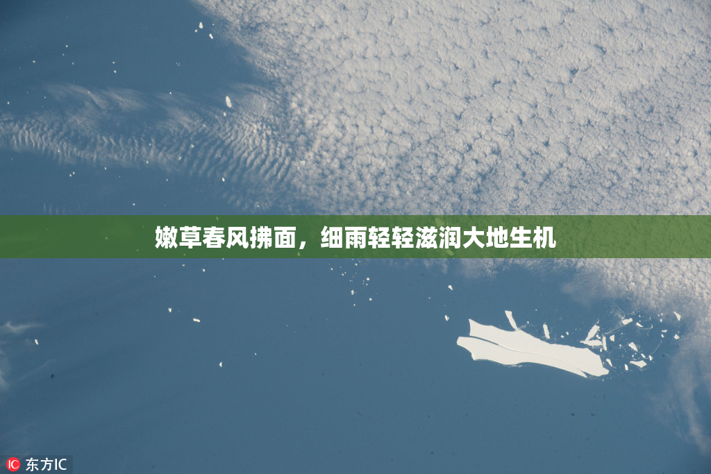 嫩草春风拂面，细雨轻轻滋润大地生机