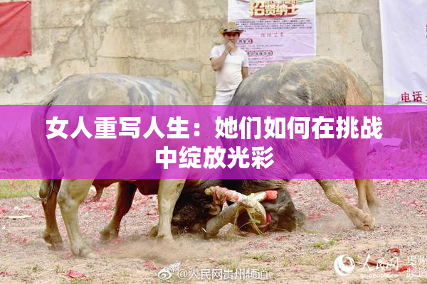 女人重写人生：她们如何在挑战中绽放光彩