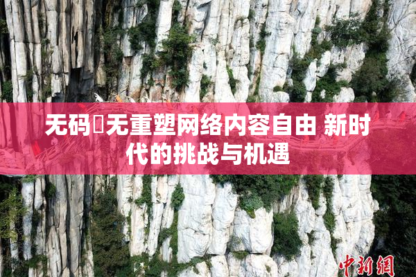 无码囯无重塑网络内容自由 新时代的挑战与机遇