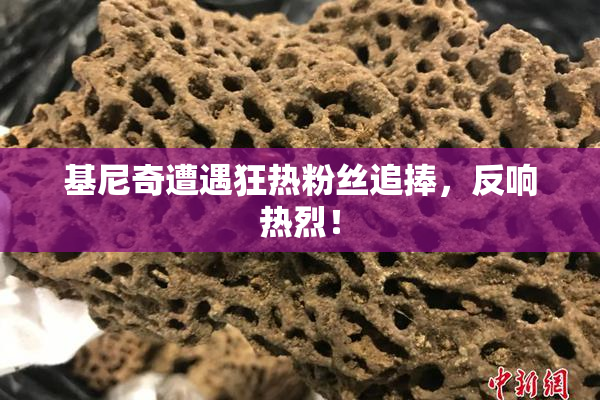 基尼奇遭遇狂热粉丝追捧，反响热烈！