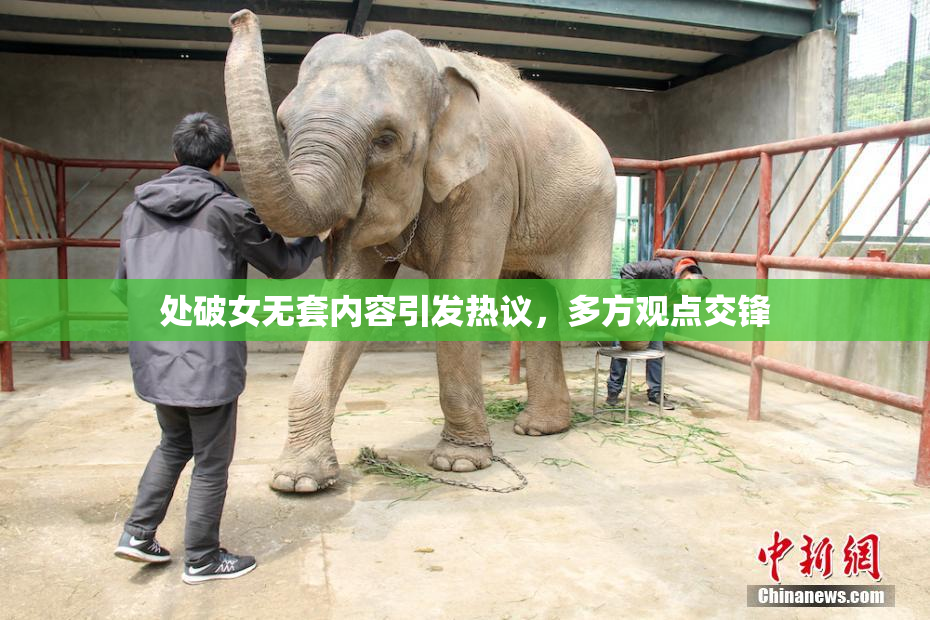 处破女无套内容引发热议，多方观点交锋
