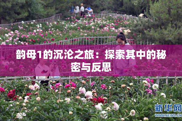 韵母1的沉沦之旅：探索其中的秘密与反思