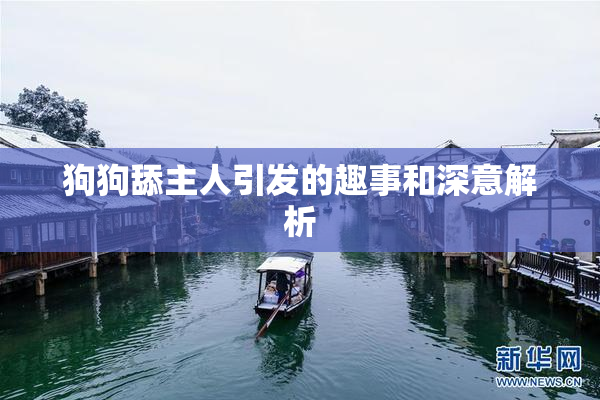 狗狗舔主人引发的趣事和深意解析