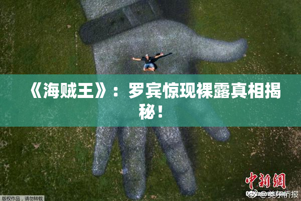 《海贼王》：罗宾惊现裸露真相揭秘！