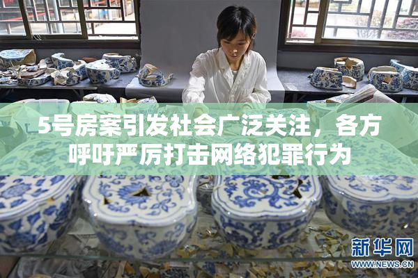 5号房案引发社会广泛关注，各方呼吁严厉打击网络犯罪行为