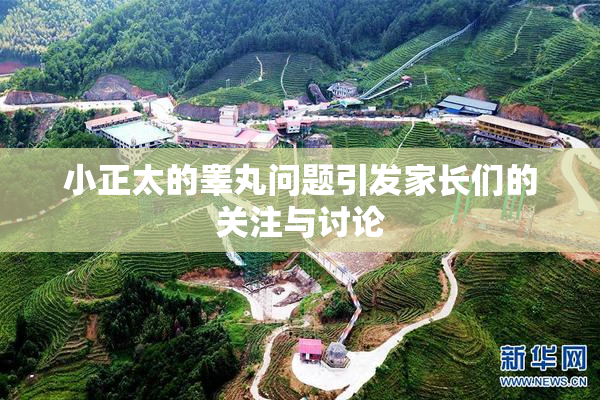 小正太的睾丸问题引发家长们的关注与讨论