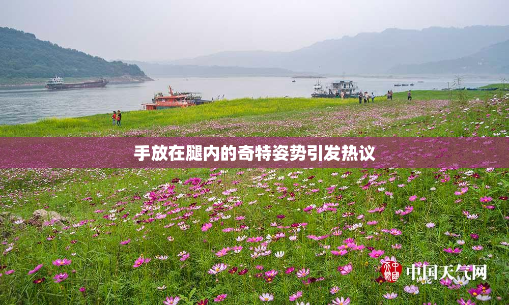 手放在腿内的奇特姿势引发热议
