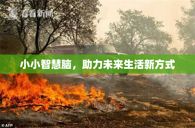 小小智慧脑，助力未来生活新方式