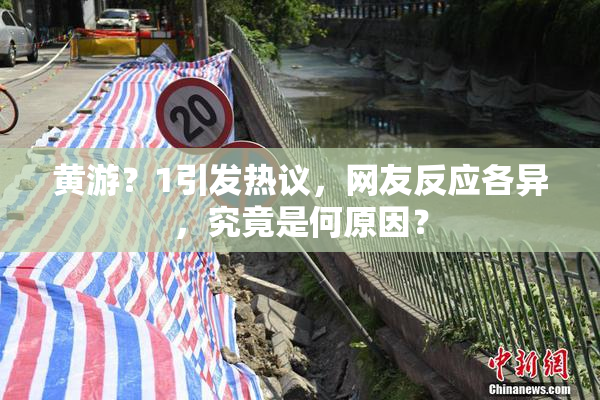 黄游？1引发热议，网友反应各异，究竟是何原因？