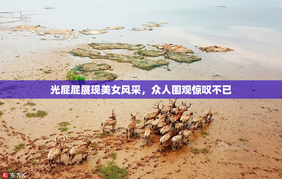 光屁屁展现美女风采，众人围观惊叹不已
