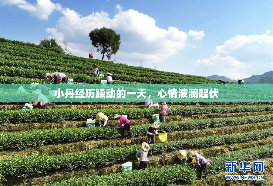 小丹经历躁动的一天，心情波澜起伏