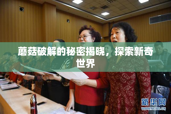 蘑菇破解的秘密揭晓，探索新奇世界