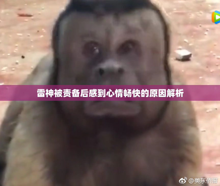 雷神被责备后感到心情畅快的原因解析