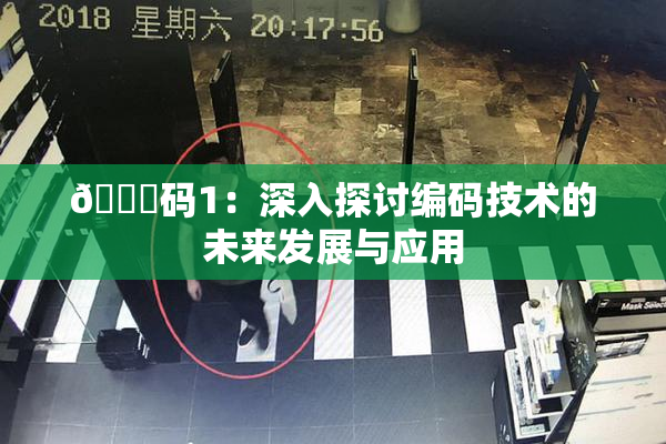 🈚码1：深入探讨编码技术的未来发展与应用