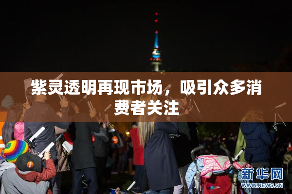紫灵透明再现市场，吸引众多消费者关注