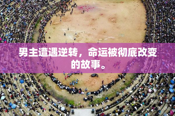 男主遭遇逆转，命运被彻底改变的故事。