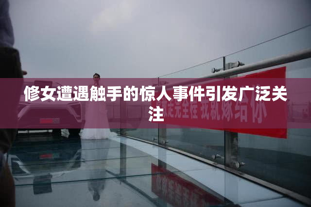 修女遭遇触手的惊人事件引发广泛关注