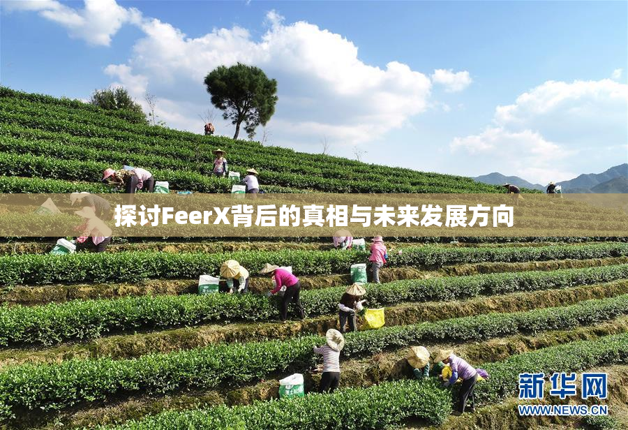 探讨FeerX背后的真相与未来发展方向