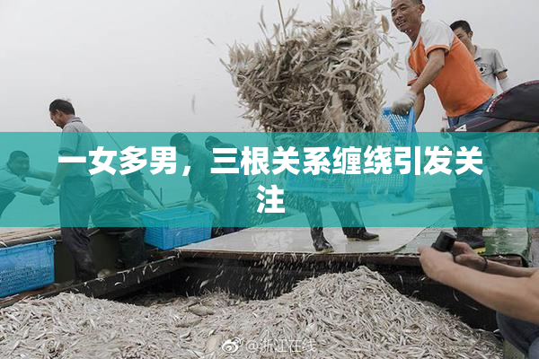 一女多男，三根关系缠绕引发关注