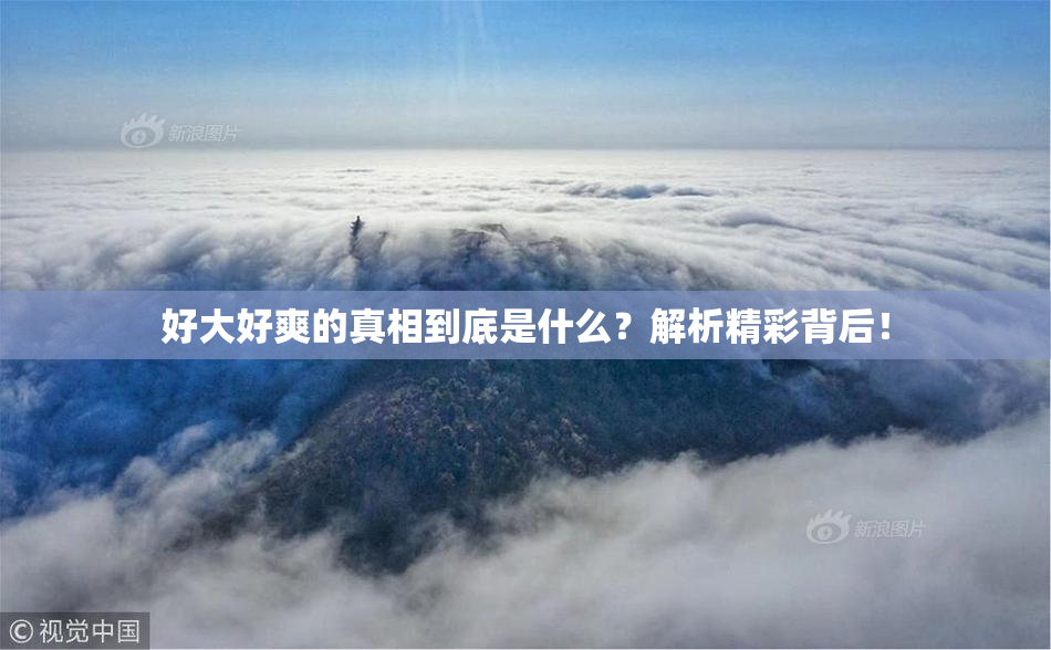 好大好爽的真相到底是什么？解析精彩背后！