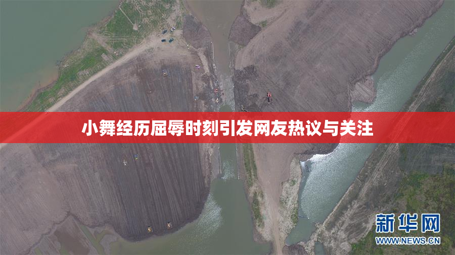 小舞经历屈辱时刻引发网友热议与关注