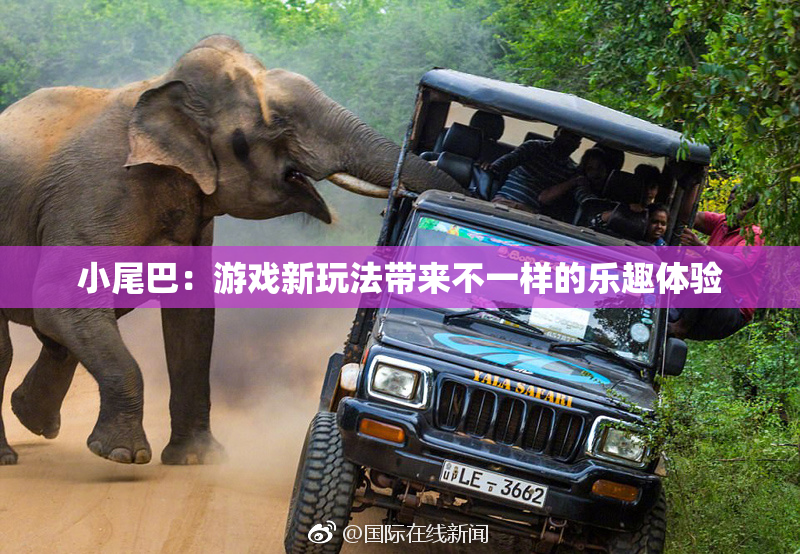 小尾巴：游戏新玩法带来不一样的乐趣体验