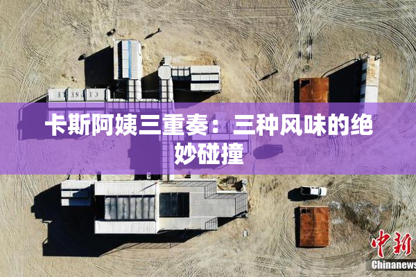 卡斯阿姨三重奏：三种风味的绝妙碰撞