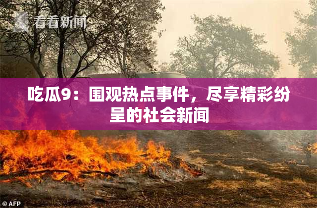 吃瓜9：围观热点事件，尽享精彩纷呈的社会新闻