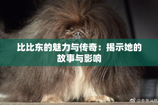 比比东的魅力与传奇：揭示她的故事与影响