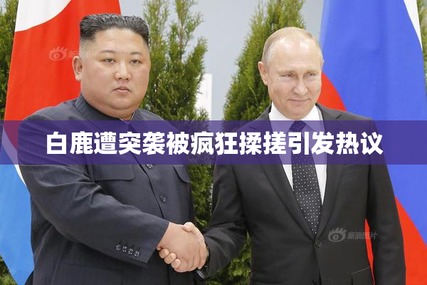 白鹿遭突袭被疯狂揉搓引发热议