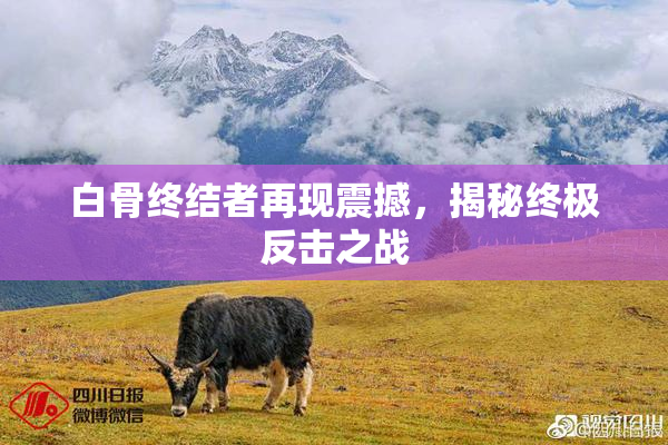 白骨终结者再现震撼，揭秘终极反击之战