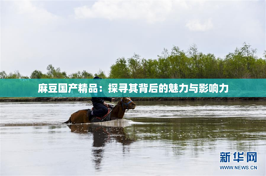 麻豆国产精品：探寻其背后的魅力与影响力