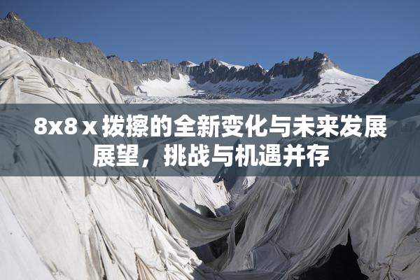 8x8ⅹ拨擦的全新变化与未来发展展望，挑战与机遇并存