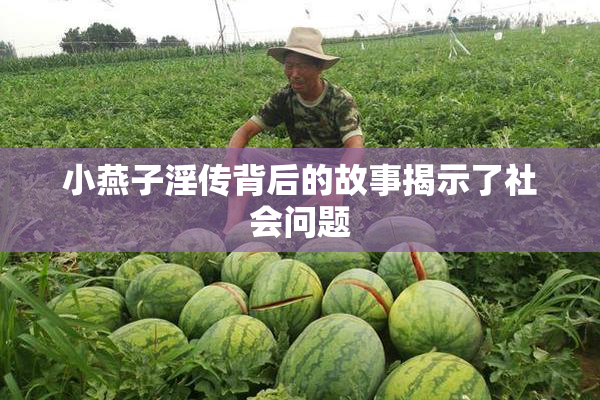小燕子淫传背后的故事揭示了社会问题