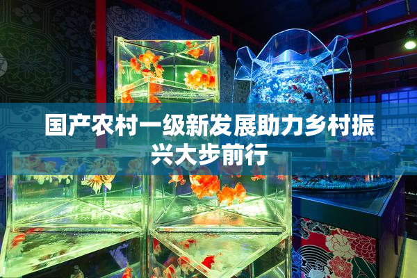 国产农村一级新发展助力乡村振兴大步前行