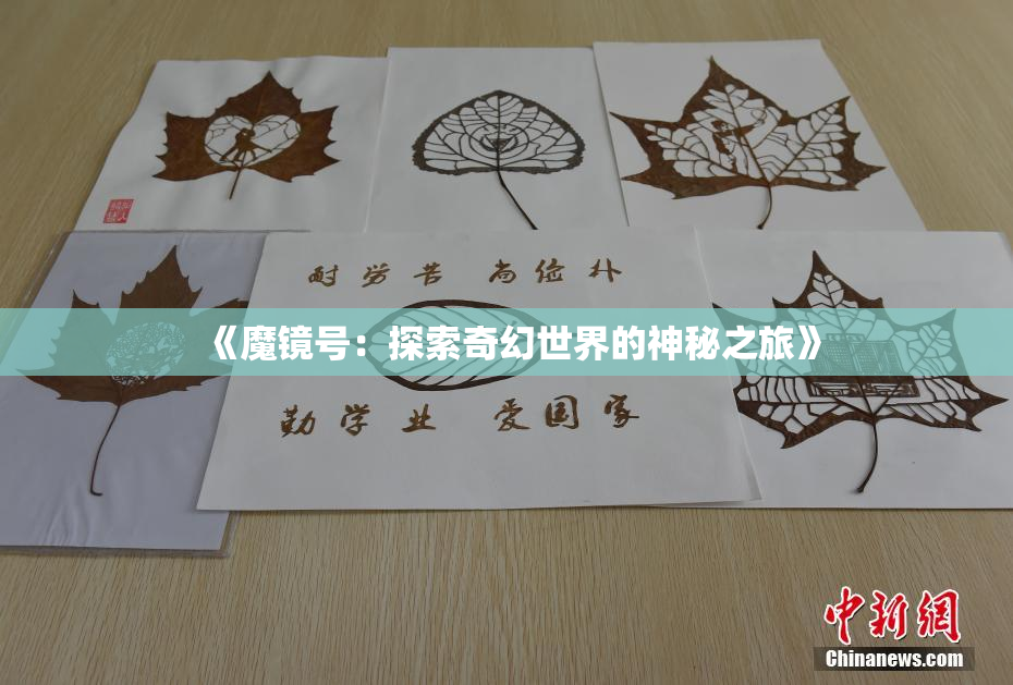 《魔镜号：探索奇幻世界的神秘之旅》