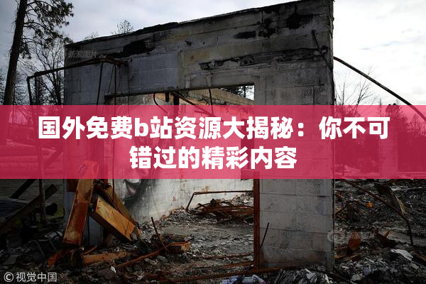 国外免费b站资源大揭秘：你不可错过的精彩内容