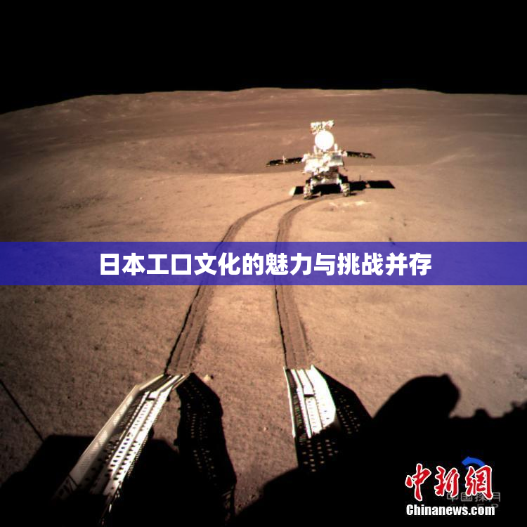 日本工口文化的魅力与挑战并存