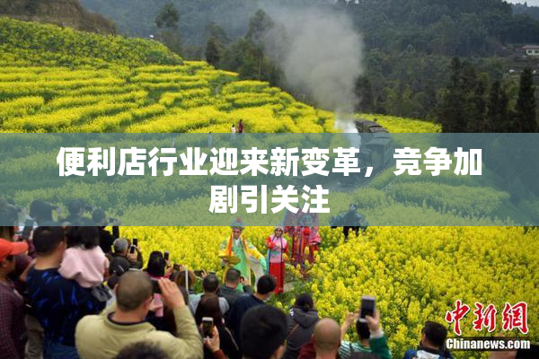 便利店行业迎来新变革，竞争加剧引关注