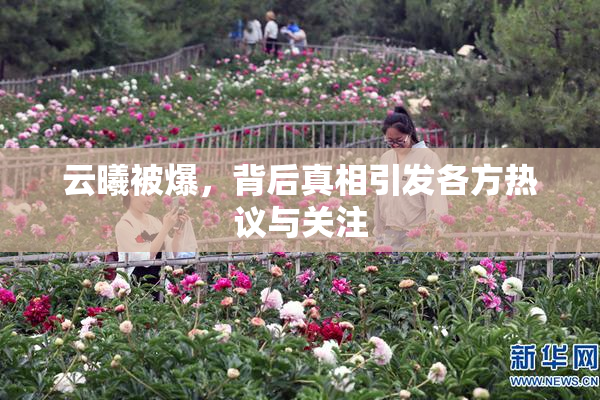 云曦被爆，背后真相引发各方热议与关注