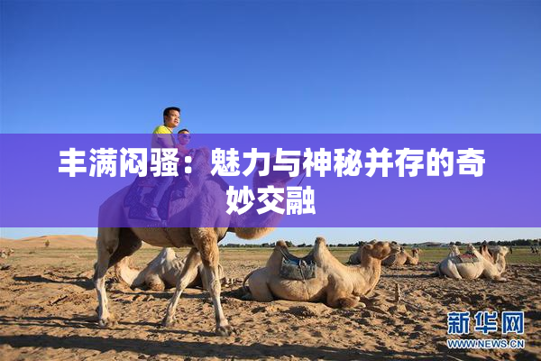 丰满闷骚：魅力与神秘并存的奇妙交融