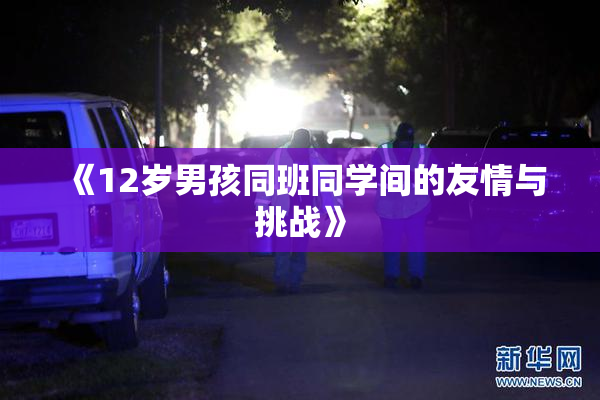 《12岁男孩同班同学间的友情与挑战》