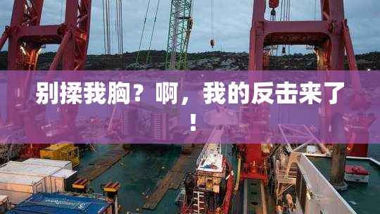 别揉我胸？啊，我的反击来了！