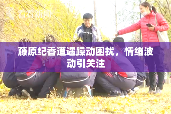 藤原纪香遭遇躁动困扰，情绪波动引关注